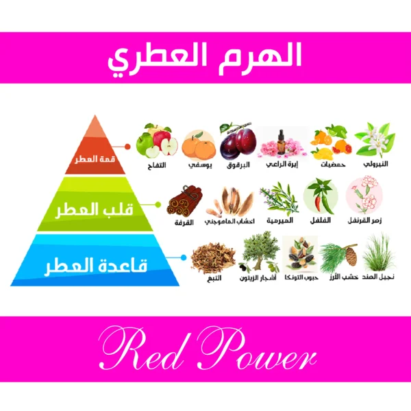 RED POWER3 result scaled ريفولو - عالم العطور عالم العطور و الأناقة و الجمال
